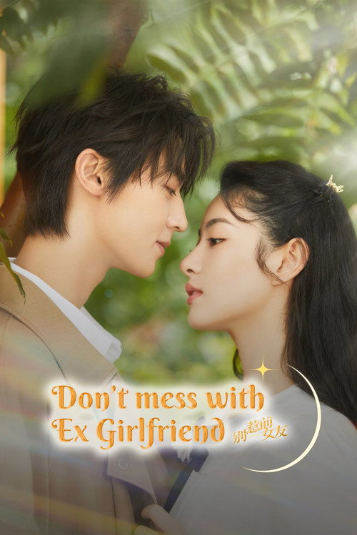 Don’t Mess With EX-Girlfriend poster