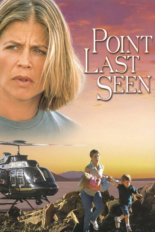 Point Last Seen poster