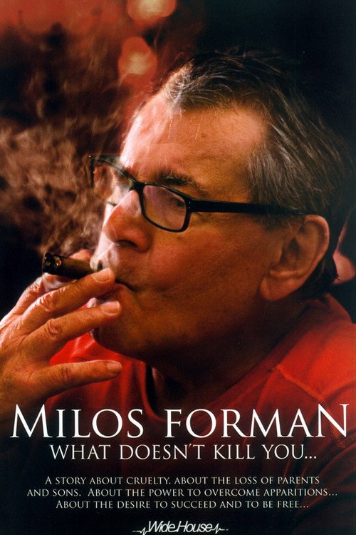 Miloš Forman: What Doesn’t Kill You… poster