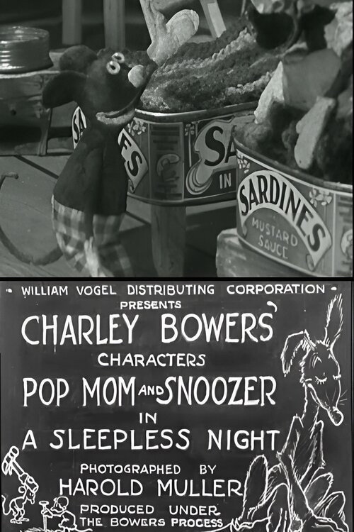 A Sleepless Night poster