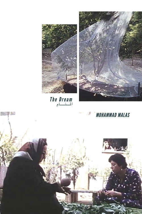 The Dream poster