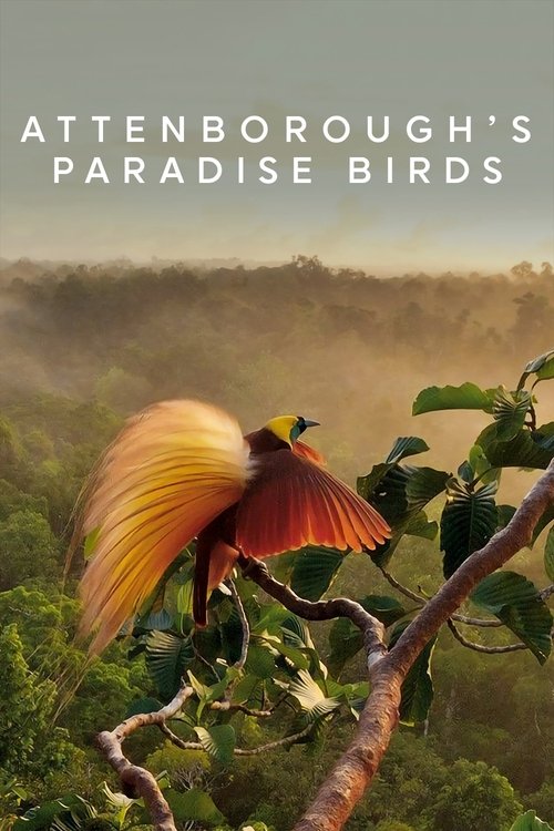 Attenborough’s Paradise Birds poster