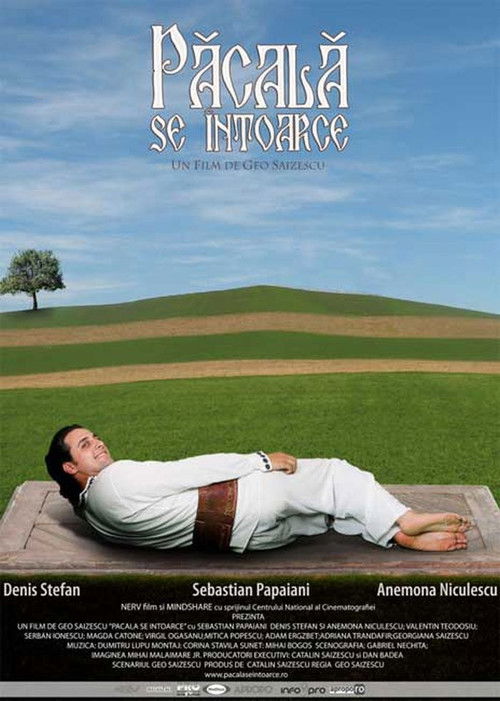 Păcală se întoarce poster