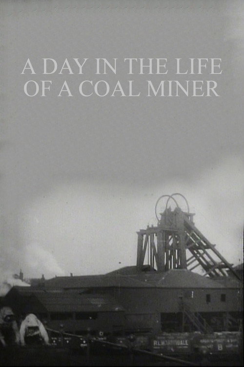 A Day in the Life of a Coal Miner poster