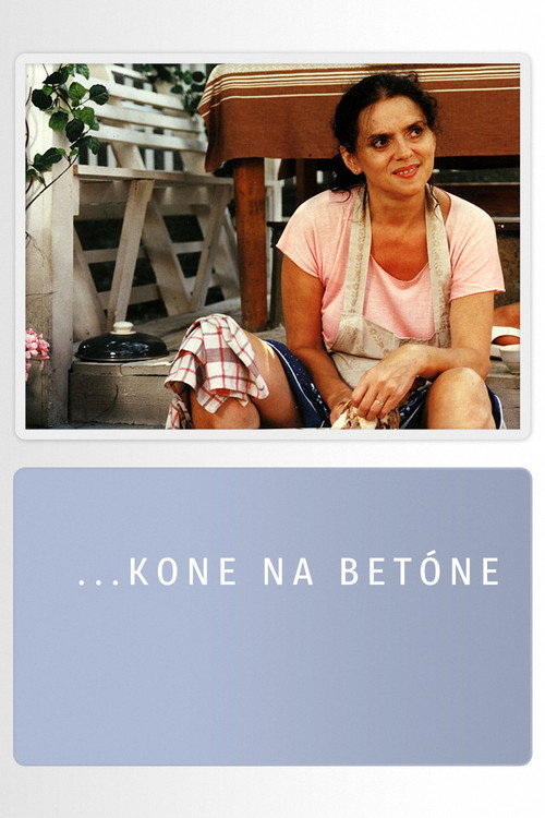 …kone na betóne poster