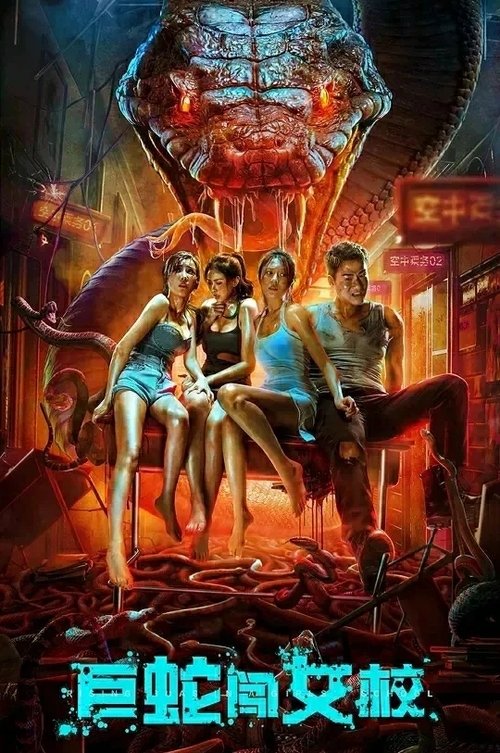 Rising Boas in a Girl’s School poster