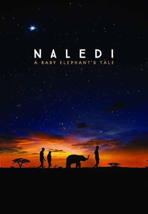 Naledi: A Baby Elephant’s Tale poster