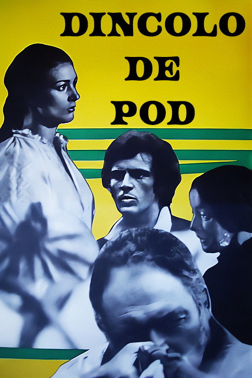 Beyond the Bridge poster