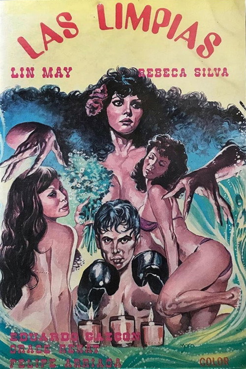 Las Limpias poster