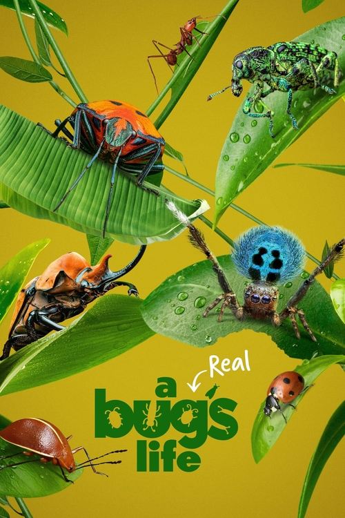 A Real Bug’s Life poster