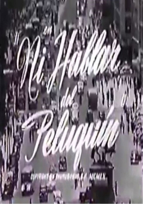 Ni hablar del peluquín poster