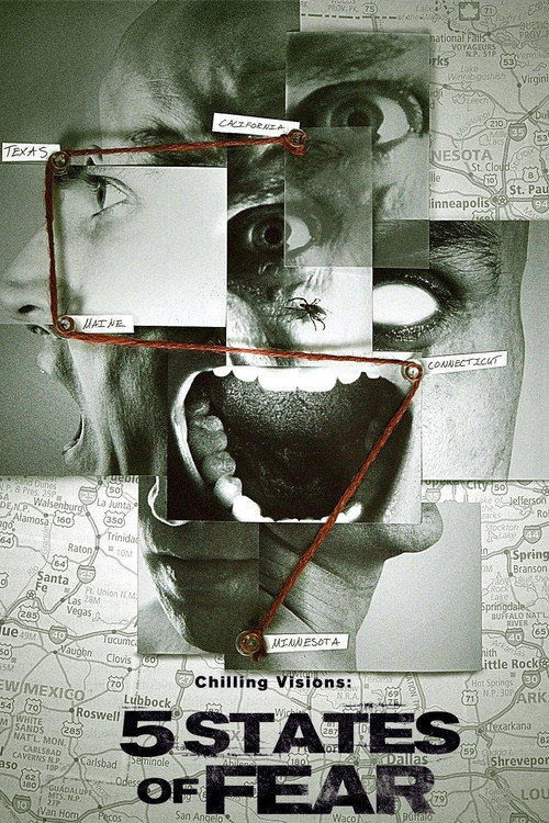 Chilling Visions: 5 States of Fear poster