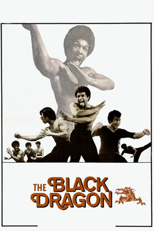 The Black Dragon poster