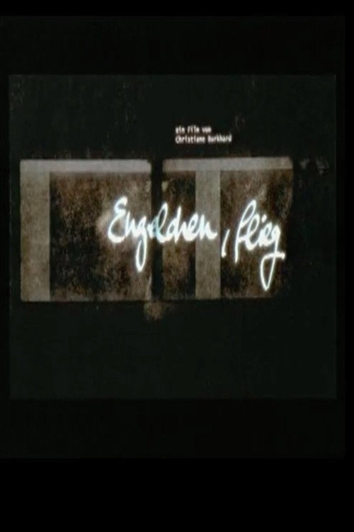 Fly, Little Angel poster
