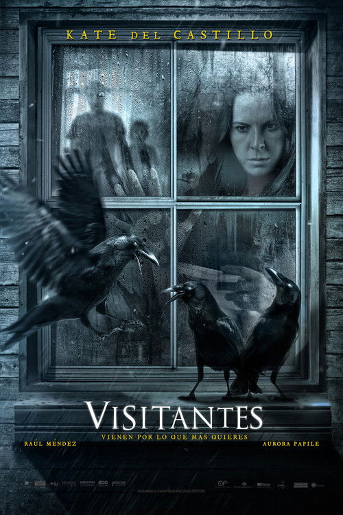 Visitors poster