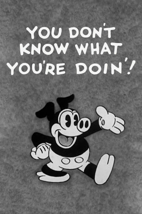 You Don’t Know What You’re Doin’! poster