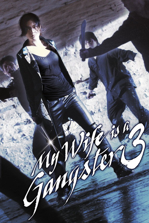 My Wife Is a Gangster 3 poster