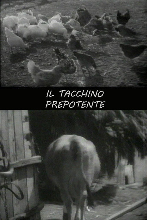 Il tacchino prepotente poster