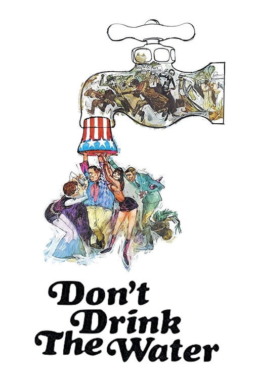 Don’t Drink the Water poster