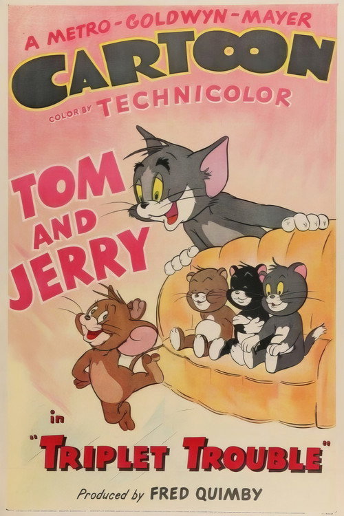 Triplet Trouble poster