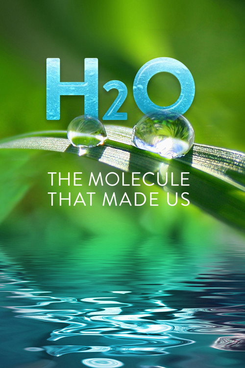 H2O: The Molecule that Made Us poster
