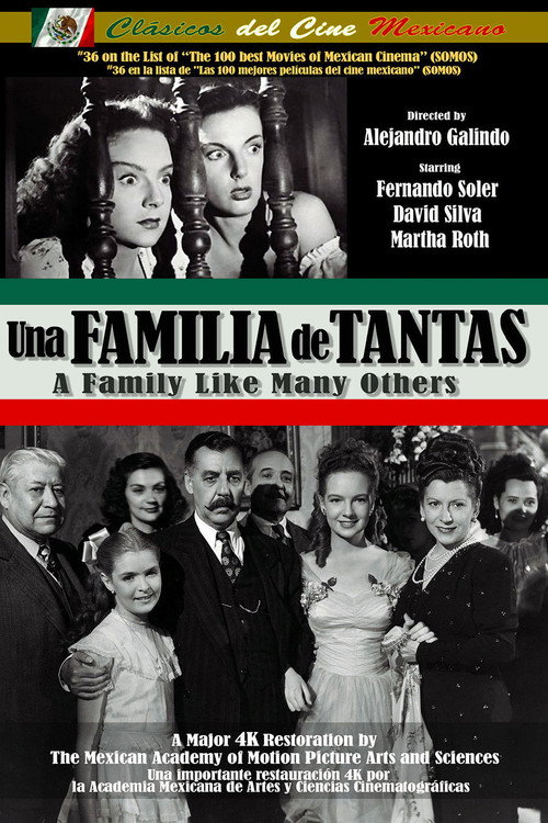 A Family Like Many Others poster