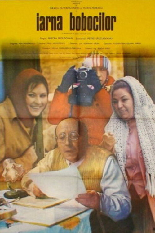 Winter of the Goslings poster