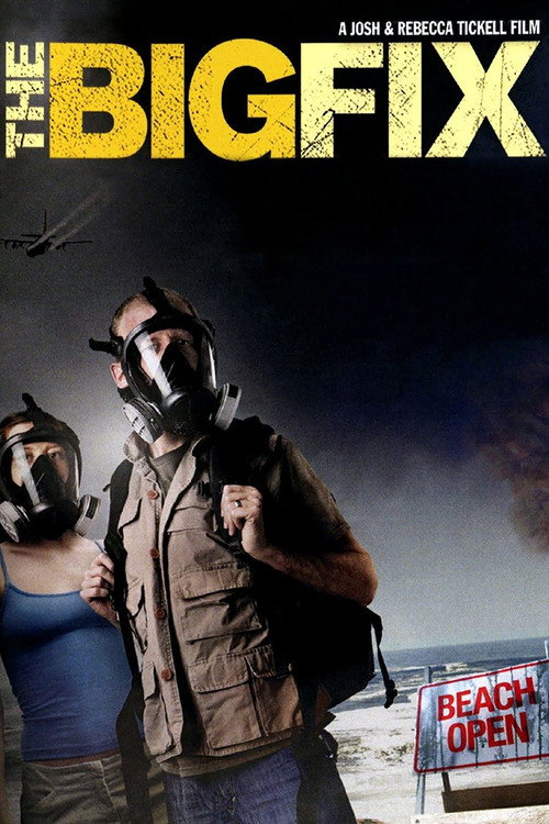 The Big Fix poster