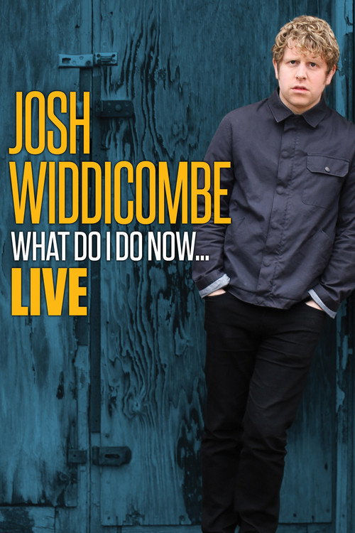 Josh Widdicombe: What Do I Do Now… poster